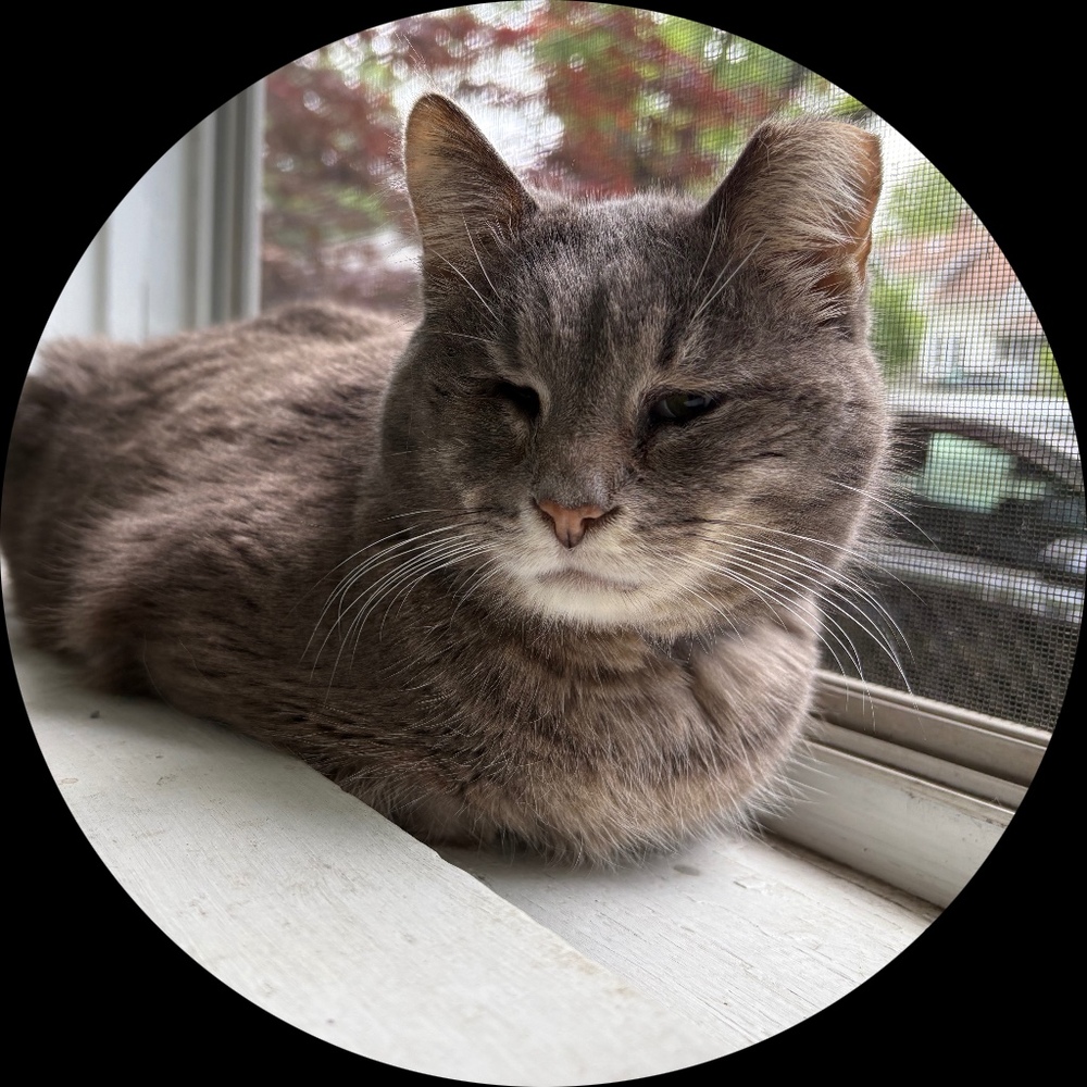 Meet your Posher, Malka
